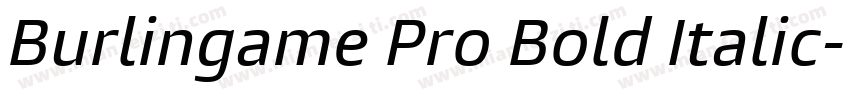Burlingame Pro Bold Italic字体转换